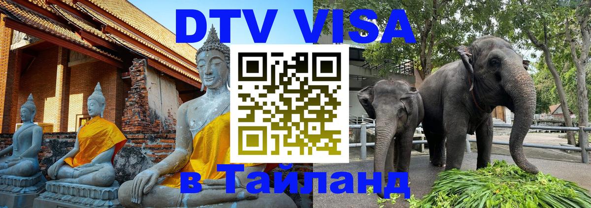 Сколько стоит DTV виза — актуальные цены, оформление даже без документов - Тирана  06.12.2025 